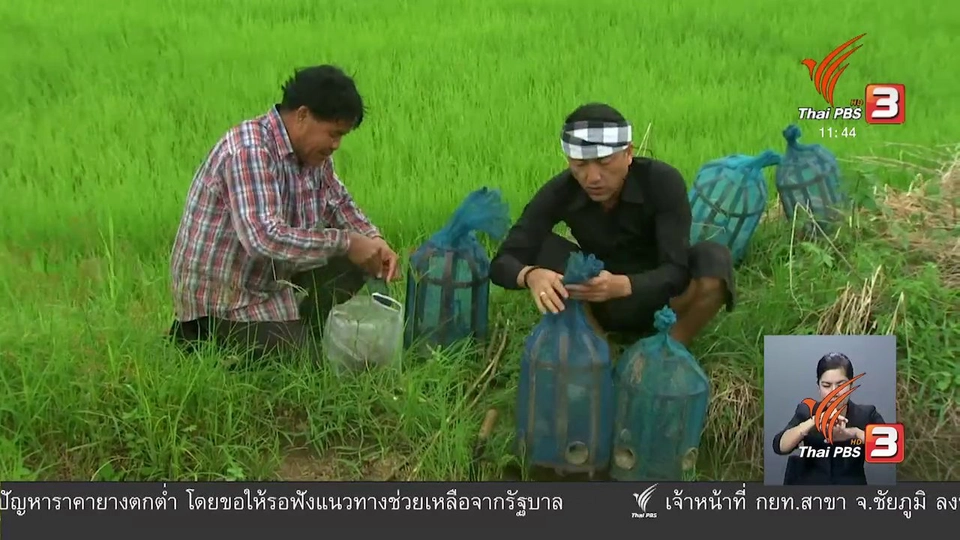 ตะลุยทั่วไทย : อีจู้กุ้งฝอย