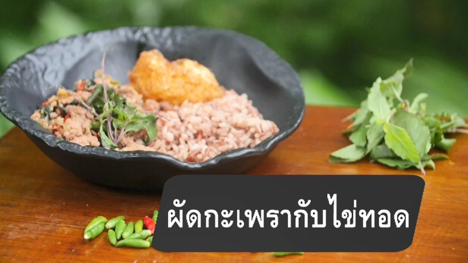 ผัดกะเพรากับไข่ทอด