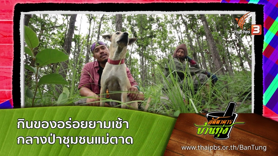 กินของอร่อยยามเช้ากลางป่าชุมชนแม่ตาด