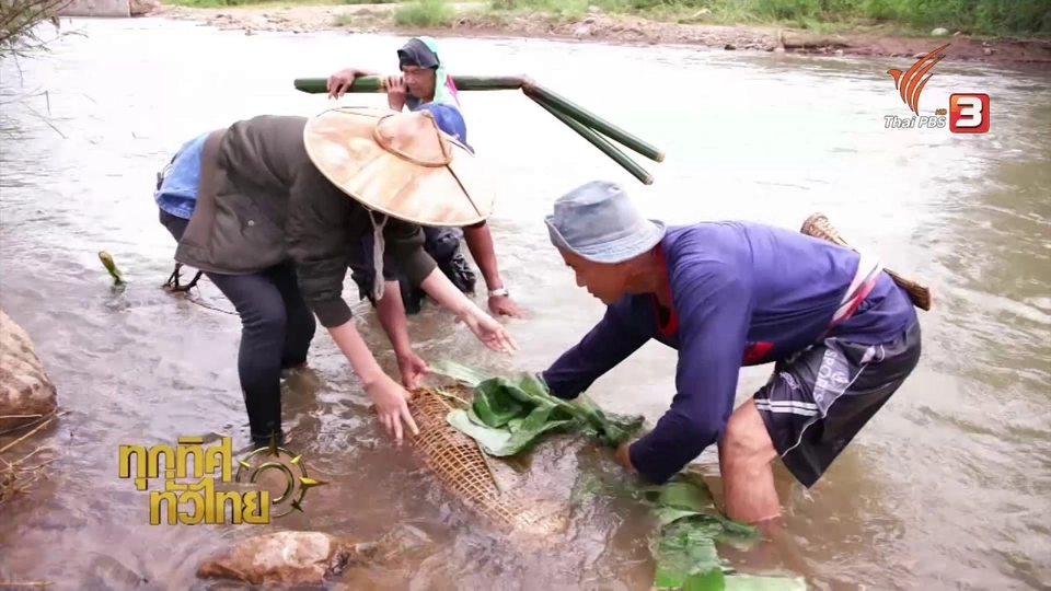 วิถีทั่วไทย : หาปลาโดยใช้ "ไซ"