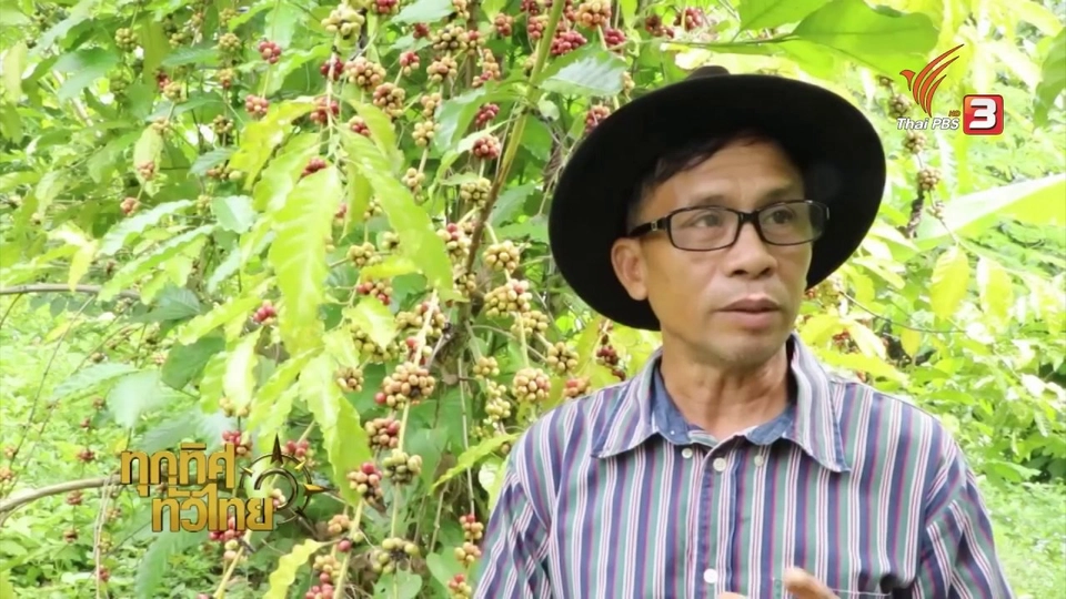 ชุมชนทั่วไทย : เทศกาลดอกกาแฟบาน จ.ราชบุรี