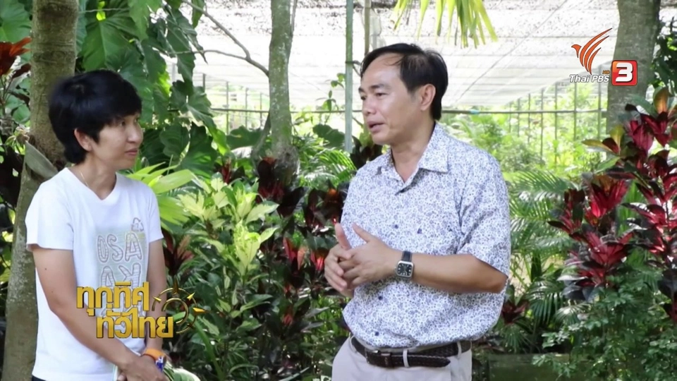 ชุมชนทั่วไทย :การขยายพันธุ์กวาวเครือดำได้สำเร็จ