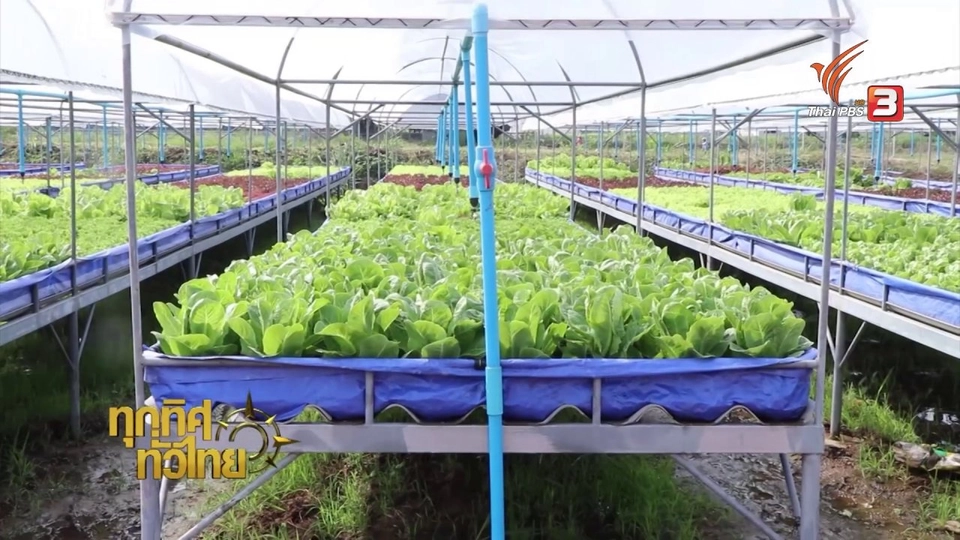 แปลงปลูกผักยกพื้น จ.ราชบุรี