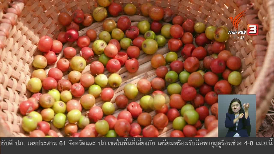 ตะลุยทั่วไทย : แกงส้มพุทรา