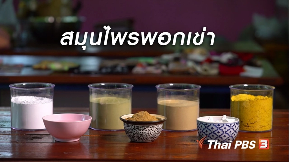 ห้องเรียนสูงวัย : สมุนไพรพอกเข่าบรรเทาปวด