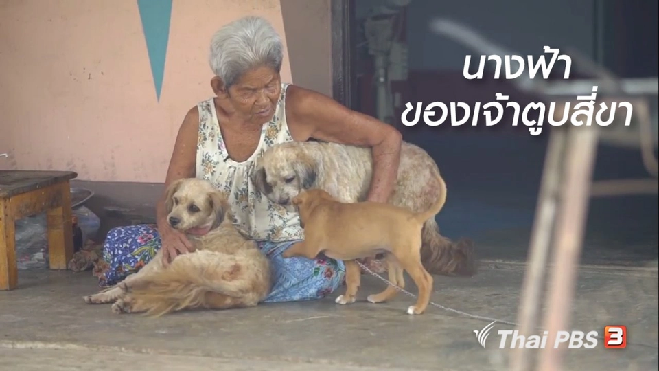 สูงวัยไทยแลนด์ : นางฟ้าของเจ้าตูบสี่ขา