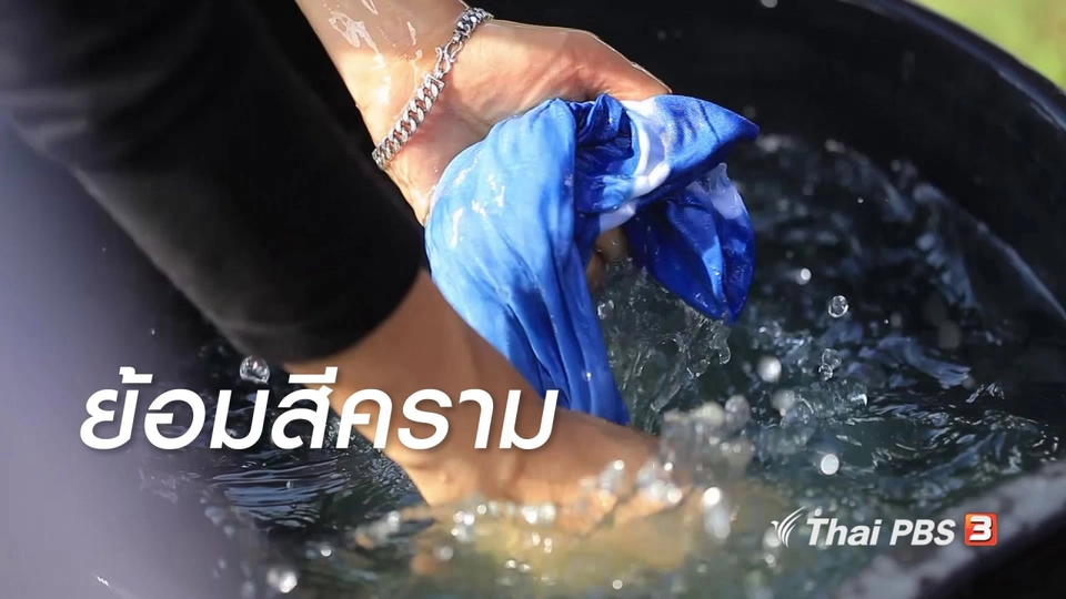 เรียนรู้วิถีไทย : ย้อมสีคราม