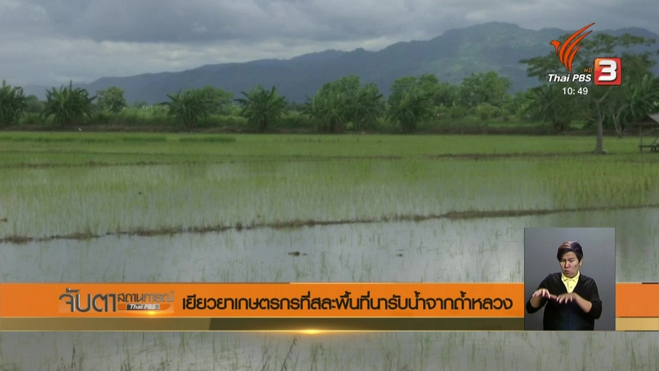 เยียวยาเกษตรกรที่สละพื้นที่นารับน้ำจากถ้ำหลวง