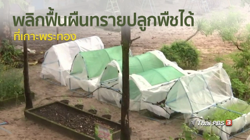 วิถีทั่วไทย : พลิกฟื้นผืนทรายปลูกพืชได้ที่เกาะพระทอง