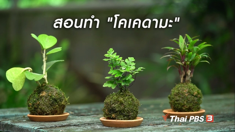 ห้องเรียนสูงวัย : สอนทำ "โคเคดามะ"