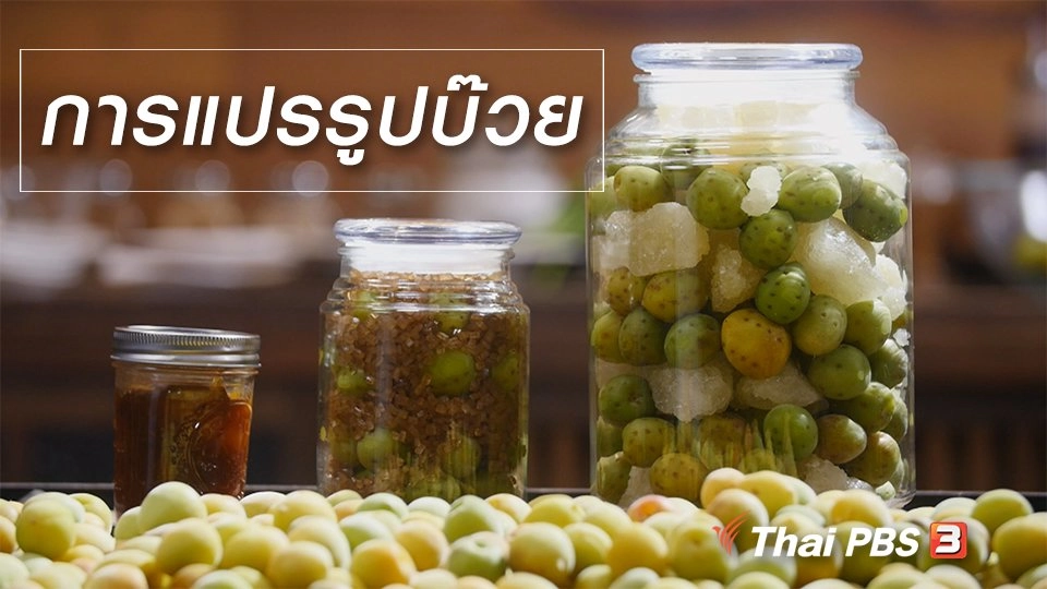 สูตรลับออนไลน์ : การแปรรูปบ๊วย