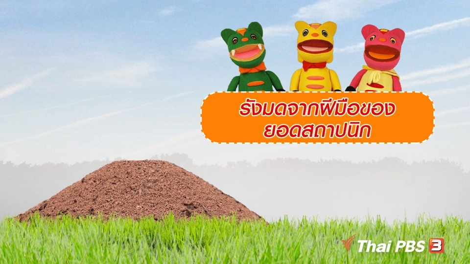 เกร็ดน่ารู้กับตาต้าตีตี้โตโต้ : รังมดจากฝีมือของยอดสถาปนิก