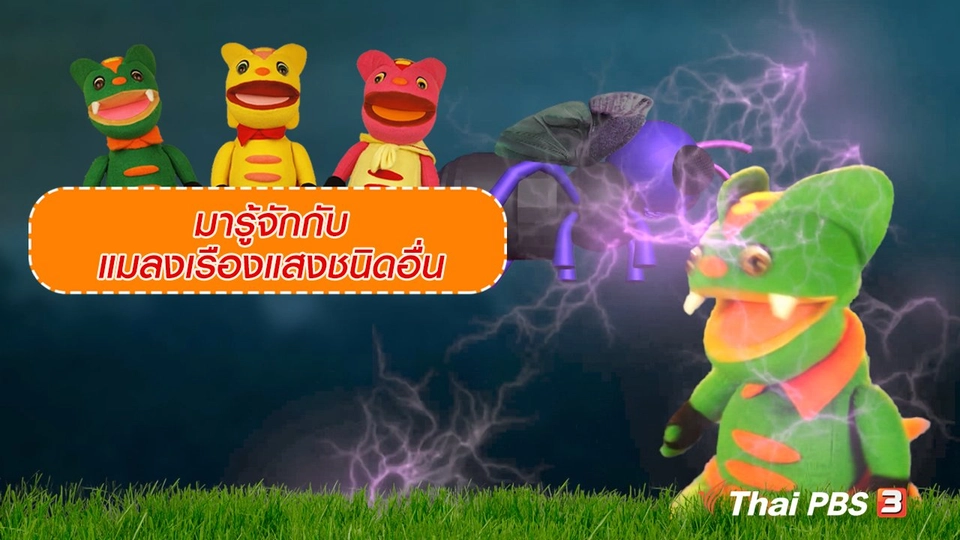 เกร็ดน่ารู้กับตาต้าตีตี้โตโต้ : มารู้จักกับแมลงเรืองแสงชนิดอื่น