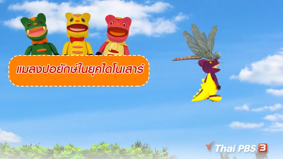 เกร็ดน่ารู้กับตาต้าตีตี้โตโต้ : แมลงปอยักษ์ในยุคไดโนเสาร์