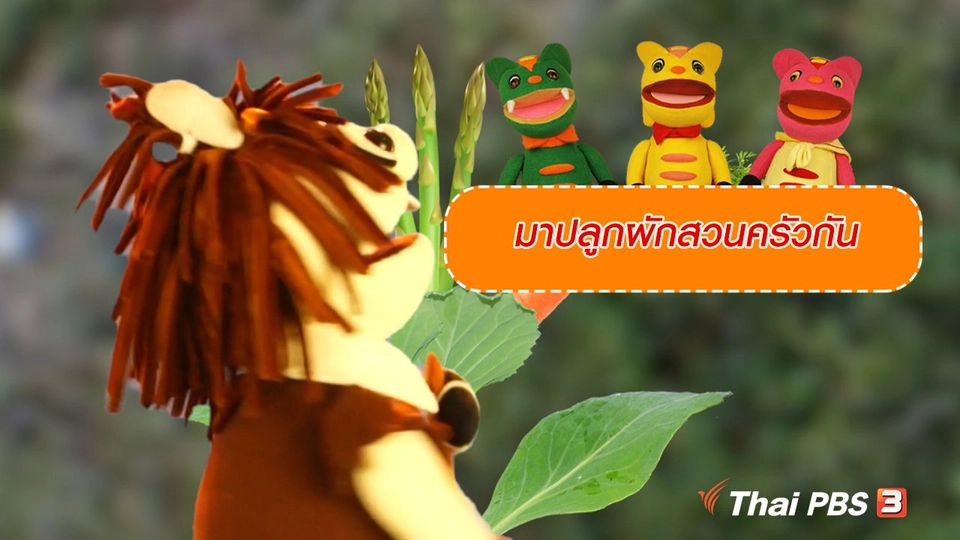 เกร็ดน่ารู้กับตาต้าตีตี้โตโต้ : มาปลูกผักสวนครัวกัน