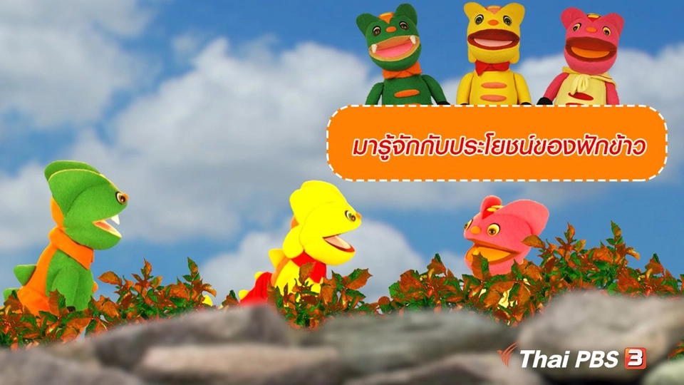 เกร็ดน่ารู้กับตาต้าตีตี้โตโต้ : มารู้จักกับประโยชน์ของฟักข้าว