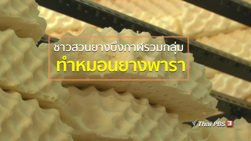อาชีพทั่วไทย : ชาวสวนยางบึงกาฬรวมกลุ่มทำหมอนยางพารา