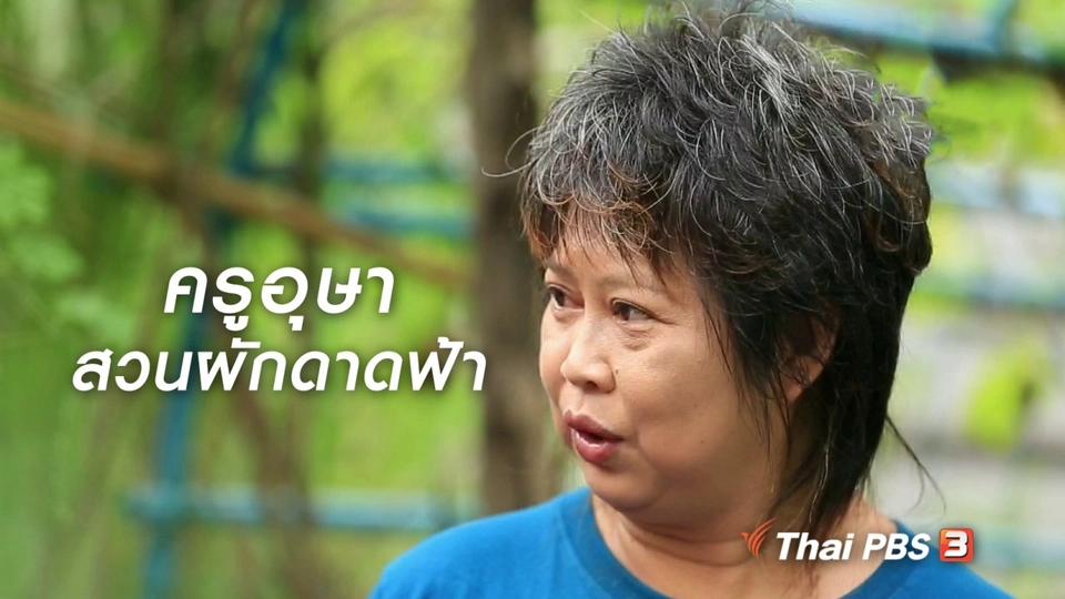 ผู้หญิงผู้สร้าง : ครูอุษา สวนผักดาดฟ้า