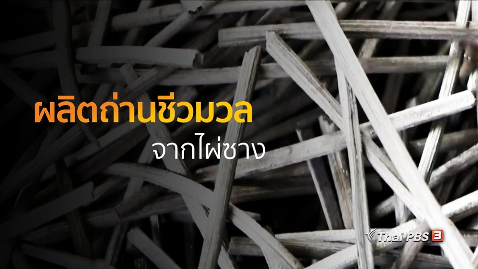 ชุมชนทั่วไทย : ผลิตถ่านชีวมวลจากไผ่ซาง