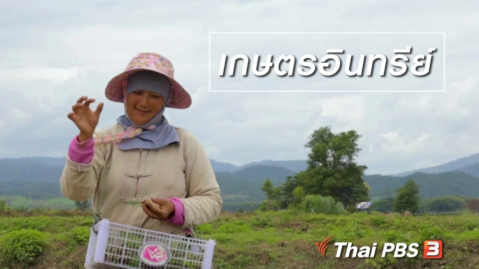 ผู้หญิงผู้สร้าง : เกษตรอินทรีย์