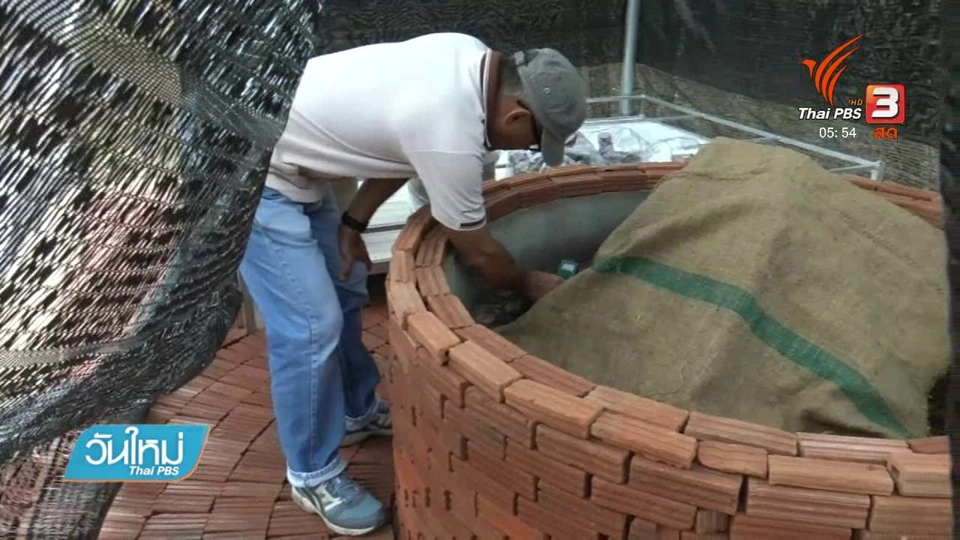 ฟื้นฟูตอต้นพระศรีมหาโพธิ์