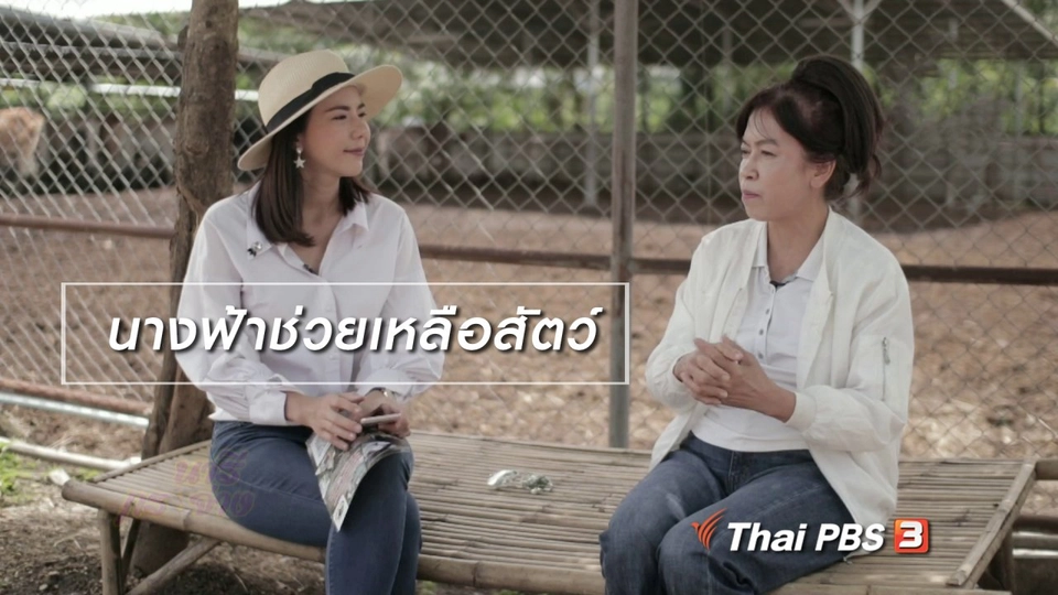 ผู้หญิงผู้สร้าง : นางฟ้าช่วยเหลือสัตว์