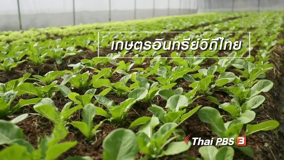 ผู้หญิงผู้สร้าง : เกษตรอินทรีย์วิถีไทย