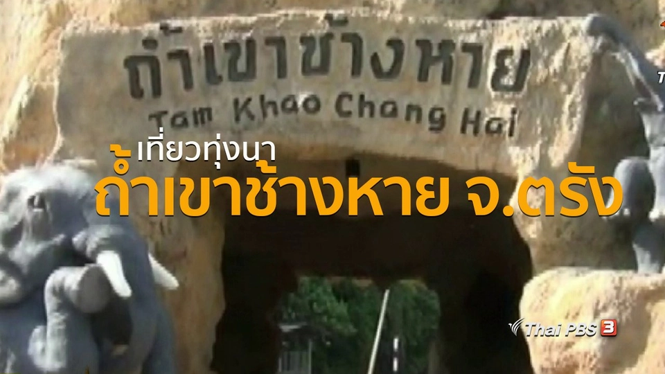 ชุมชนทั่วไทย : เที่ยวทุ่งนาถ้ำเขาช้างหาย จ.ตรัง