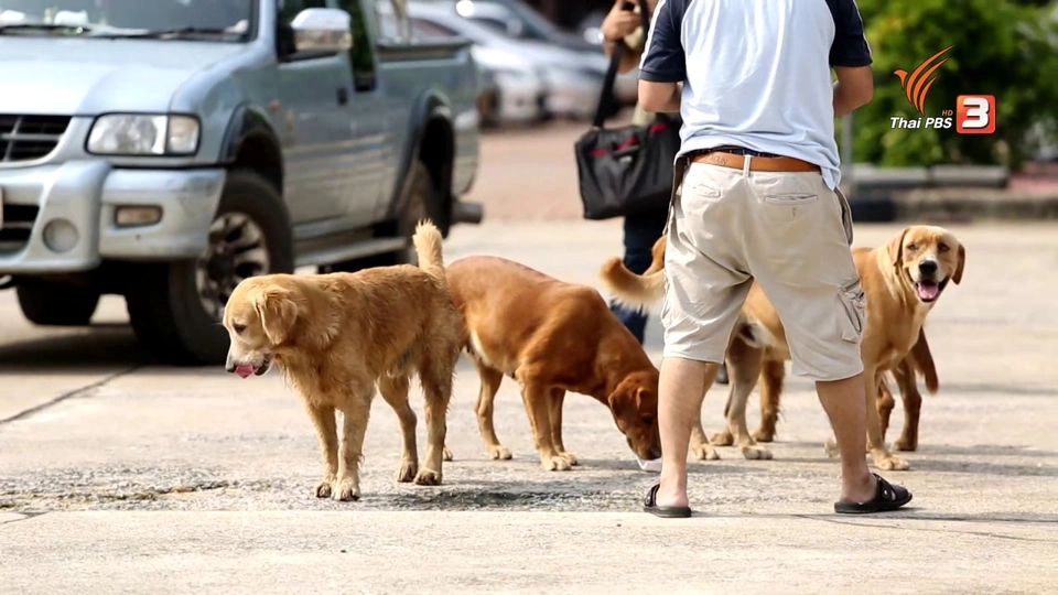 รู้สู้โรค : เฝ้าระวังโรคพิษสุนัขบ้า