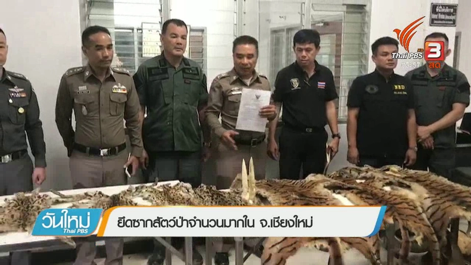 ยึดซากสัตว์ป่าจำนวนมากใน จ.เชียงใหม่