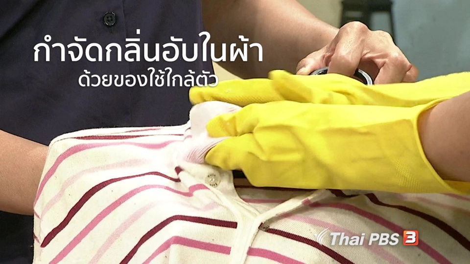 นารีสนทนา : กำจัดกลิ่นอับในผ้าด้วยของใช้ใกล้ตัว