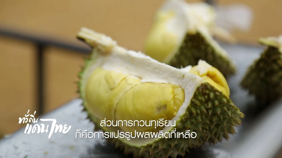 เรียนรู้วิถีไทย : ทุเรียนกวน