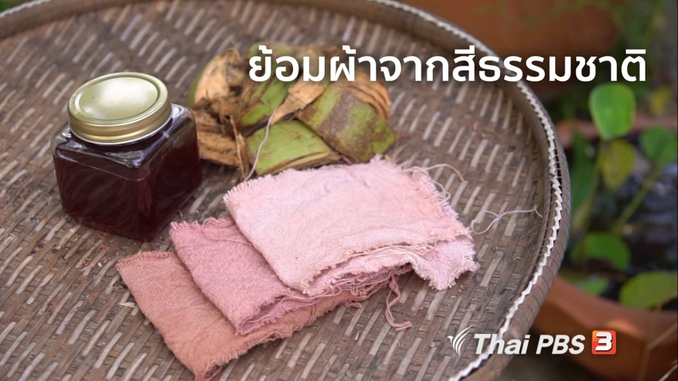 ห้องเรียนสูงวัย : ย้อมผ้าจากสีธรรมชาติ