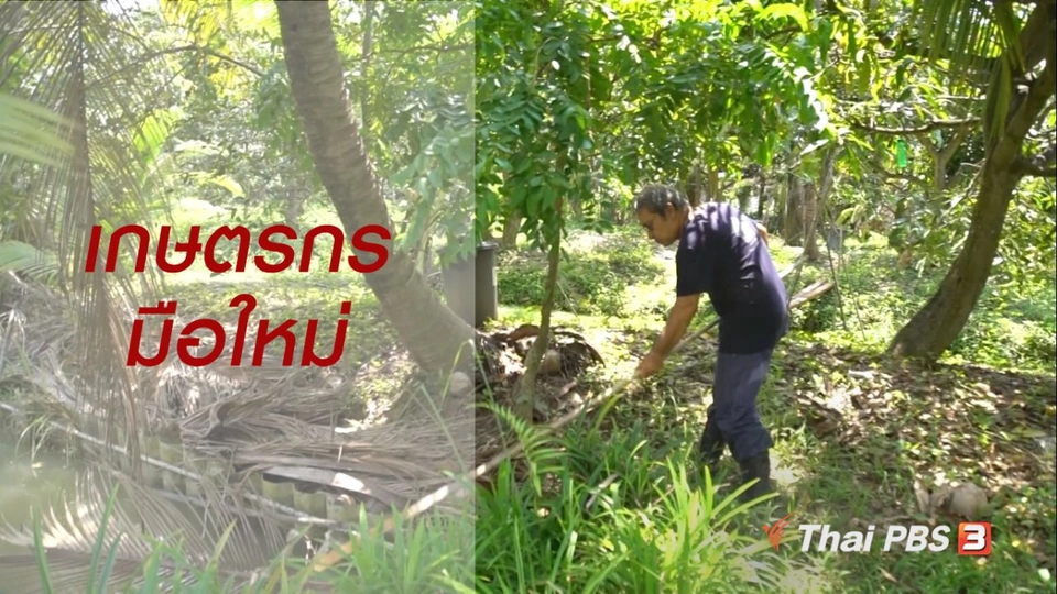 สูงวัยไทยแลนด์ : เกษตรกรมือใหม่