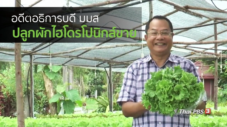 อาชีพทั่วไทย : อดีตอธิการบดี มมส ปลูกผักไฮโดรโปนิกส์ขาย