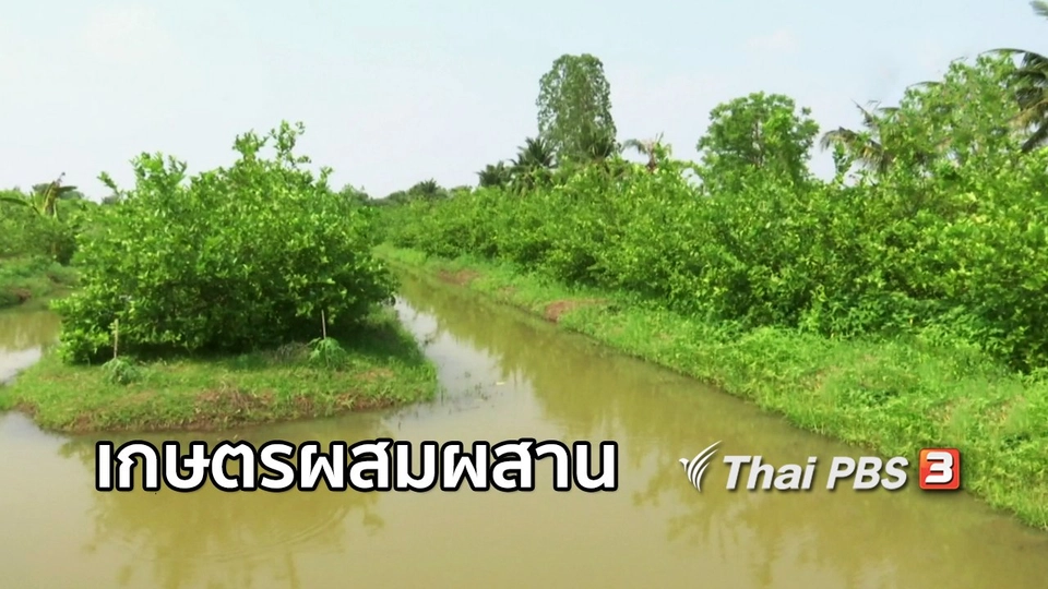 ตะลุยทั่วไทย : เกษตรผสมผสาน อ.บึงสามัคคี จ.กำแพงเพชร