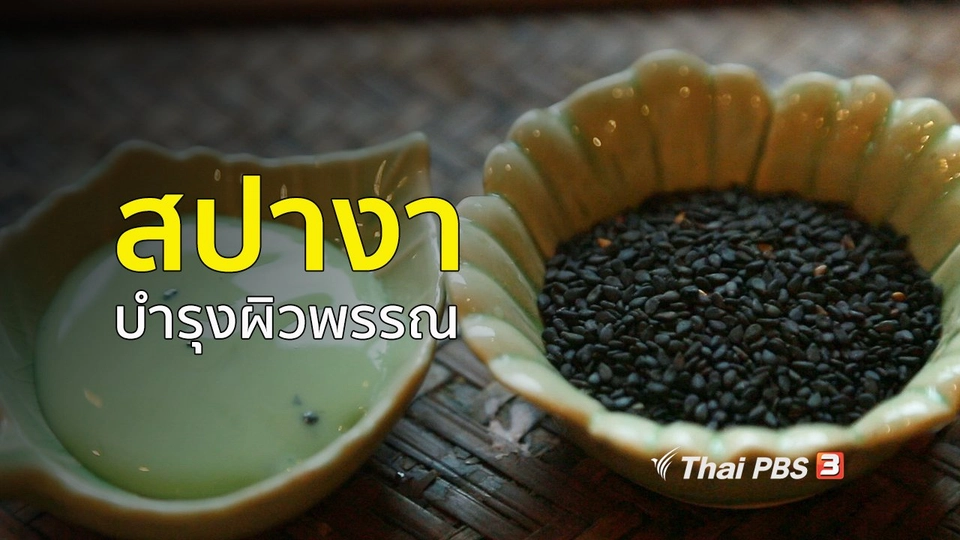 ปรับก่อนป่วย : สปางา ของดีเพื่อสุขภาพที่แม่สอด