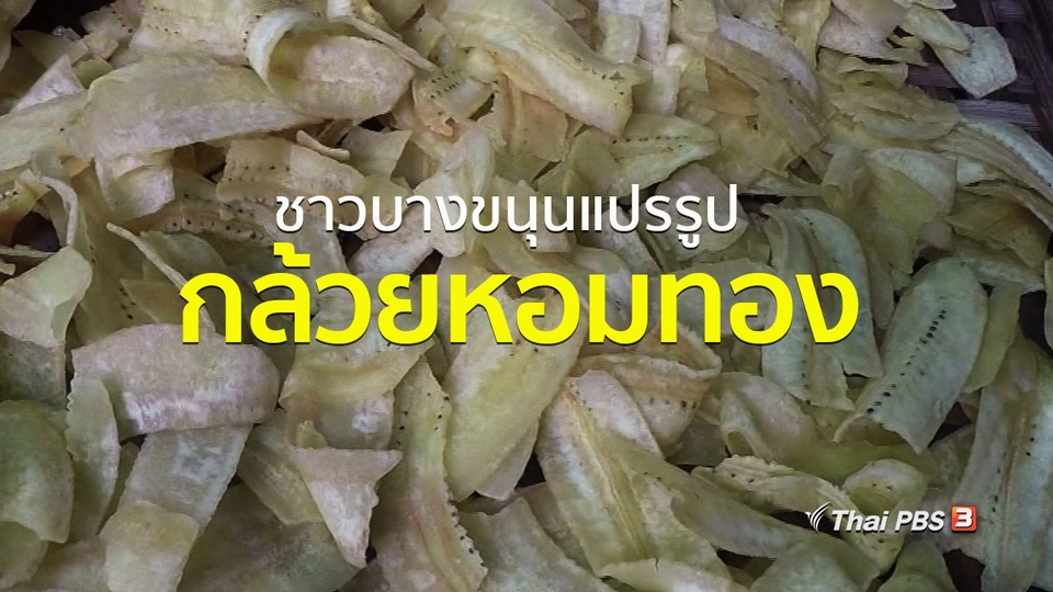 ชุมชนทั่วไทย : ชาวบางขนุนแปรรูปกล้วยหอมทอง