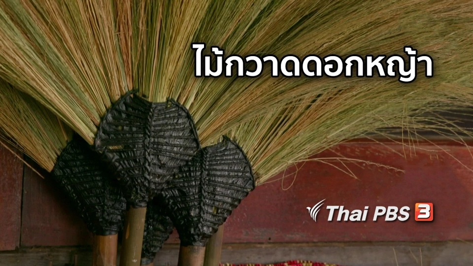 ตะลุยทั่วไทย : ไม้กวาดดอกหญ้า