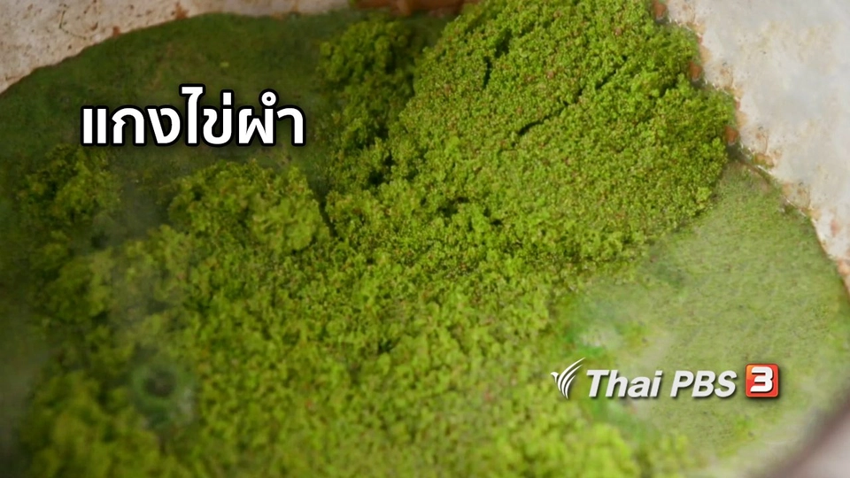 ตะลุยทั่วไทย : แกงไข่ผำ