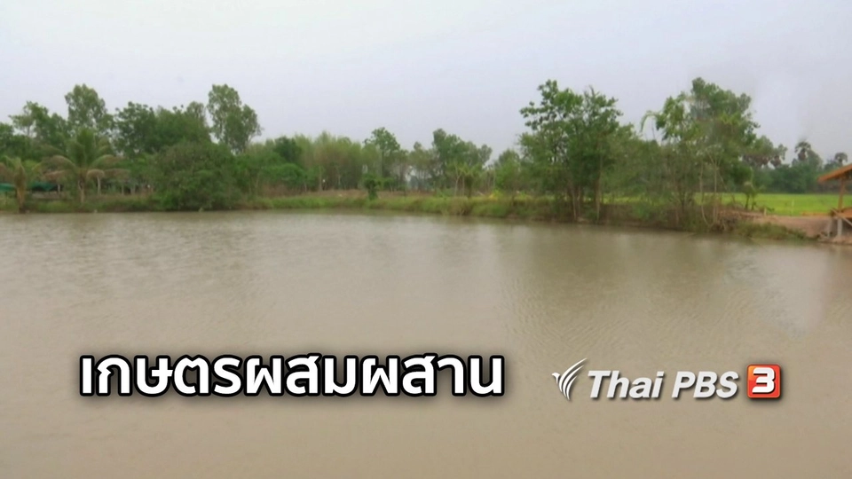 ตะลุยทั่วไทย : เกษตรผสมผสาน