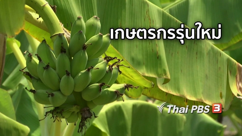 ตะลุยทั่วไทย : เกษตรกรรุ่นใหม่