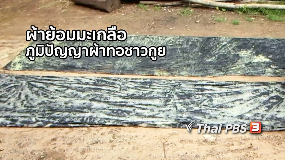 หัวใจในลายผ้า : ผ้าย้อมมะเกลือภูมิปัญญาผ้าทอชาวกูย