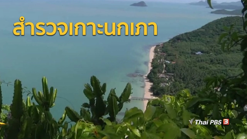 ชุมชนทั่วไทย : สำรวจเกาะนกเภา