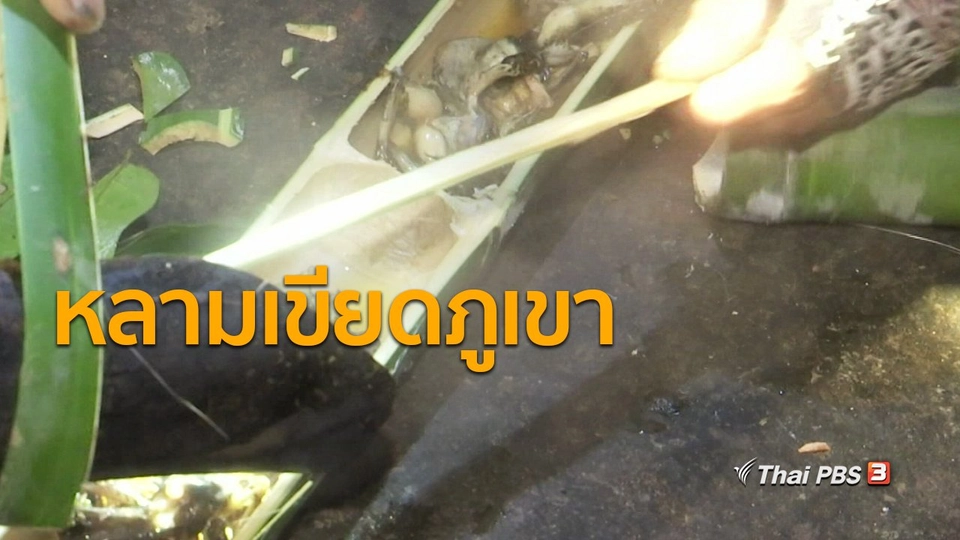 วีถีทั่วไทย : หลามเขียดภูเขาใส่ยอดคอนแคน