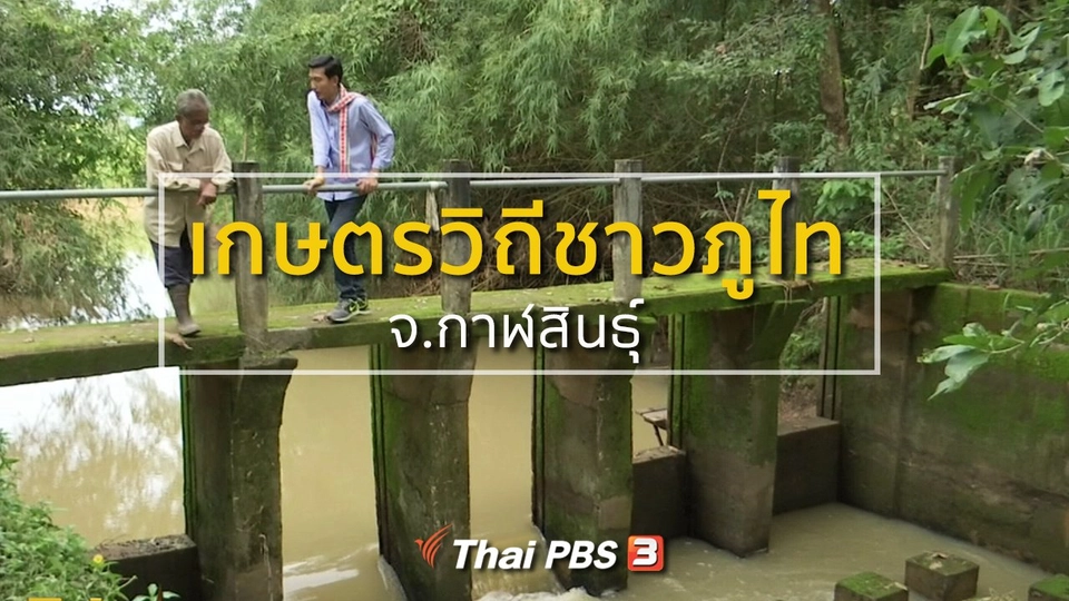 อาชีพทั่วไทย : เกษตรวิถีชีวิตภูไท จ.กาฬสินธุ์