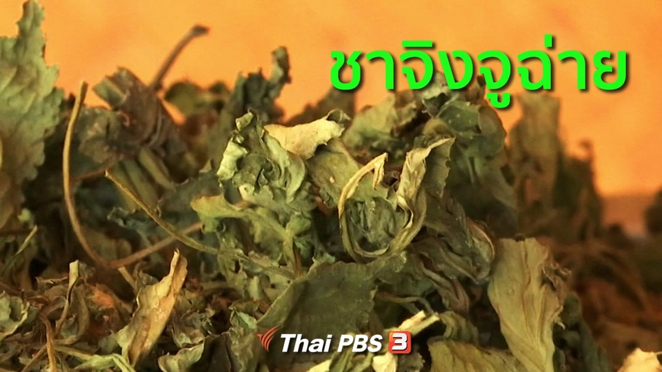 อาชีพทั่วไทย : ชาจิงจูฉ่าย