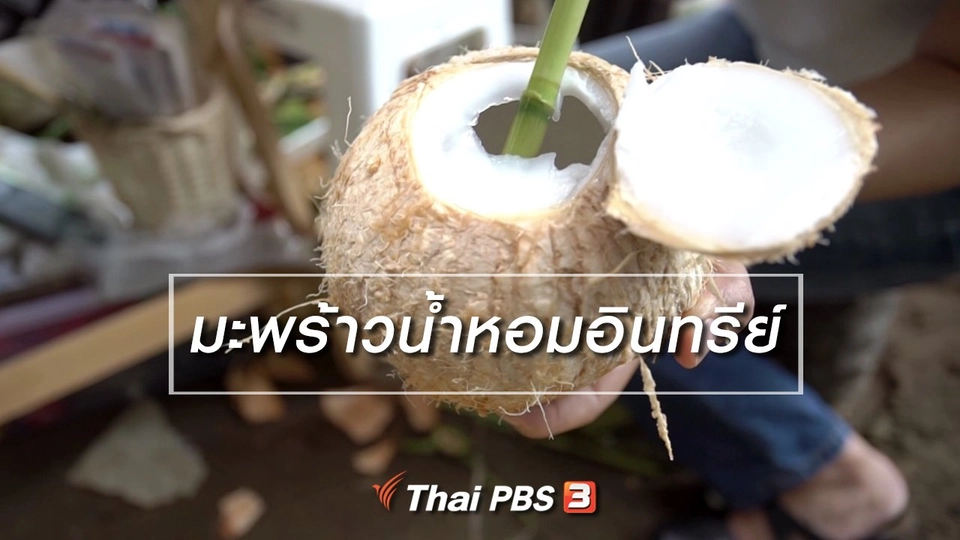 สูงวัยไทยแลนด์ : มะพร้าวน้ำหอมอินทรีย์