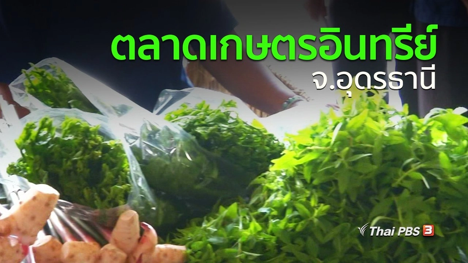 ชุมชนทั่วไทย : จ.อุดรธานีเปิดพื้นที่ขายสินค้าเกษตรอินทรีย์