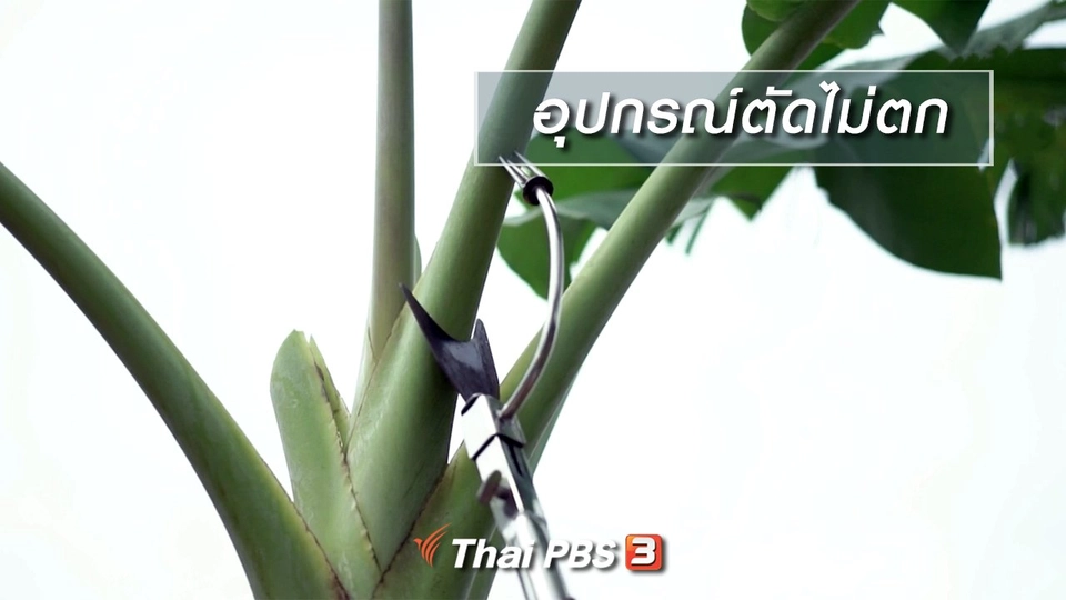 นารีสนทนา : อุปกรณ์ตัดไม่ตก